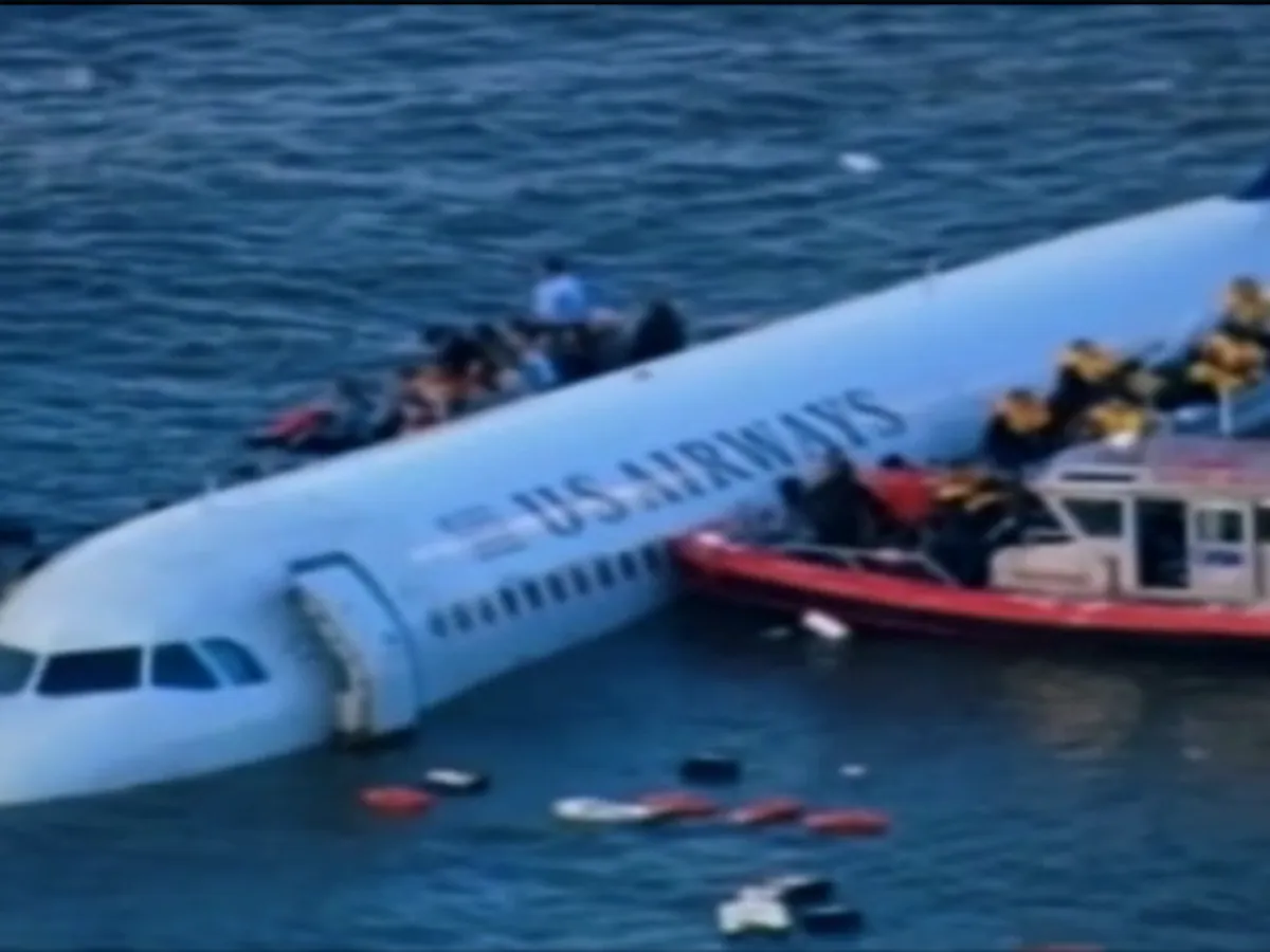Bird vs Plane Miracle on the Hudson