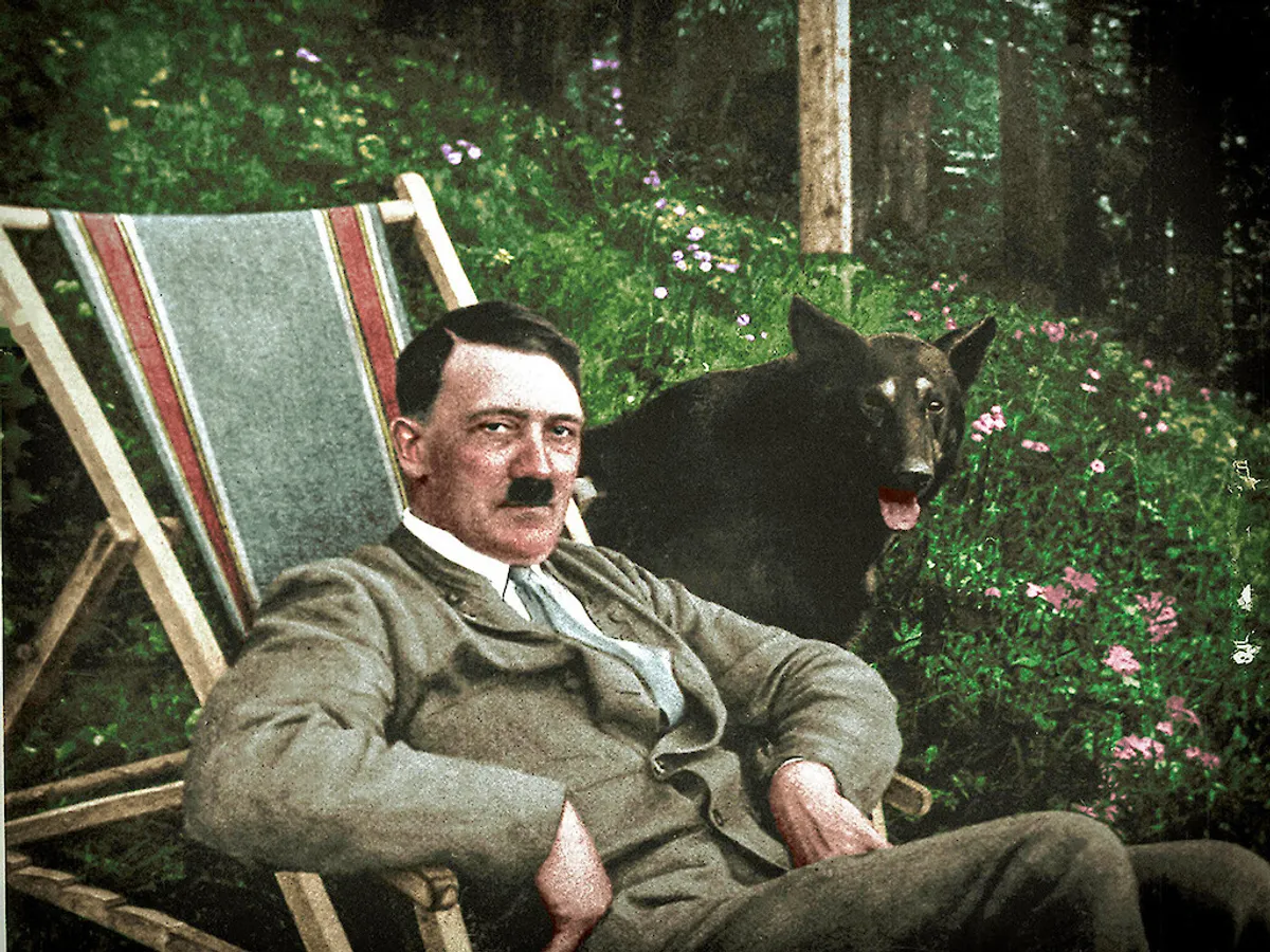 Hitler Rise and Fall