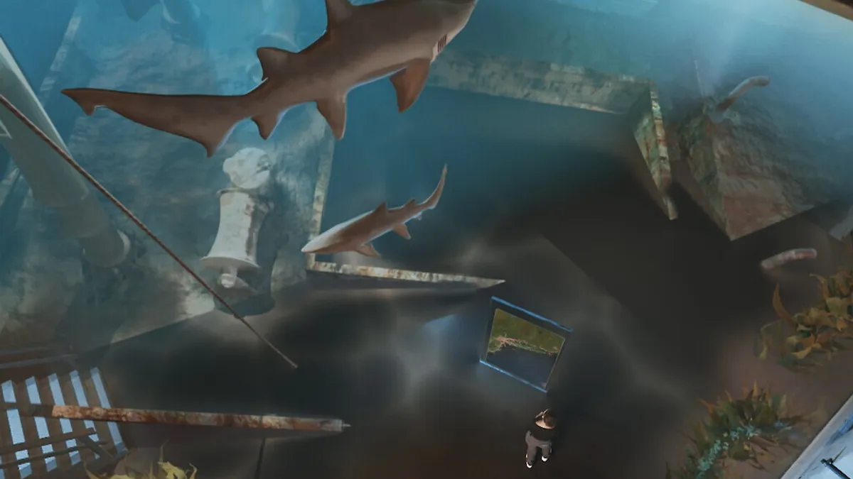 203 bitsintheshallows sharkattack360 cgi 0002 1024x768